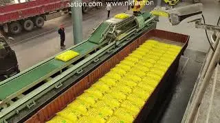 🦾FANUC robots and travel guide rail conveyor lines form automated loading (bag-packed products).