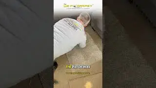 Carpet Repair Made Easy Fixing a Bleach Stain with a Perfect Patch!