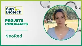 Projets innovants - NeoRed