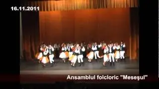 Ansamblul folcloric Mesesul