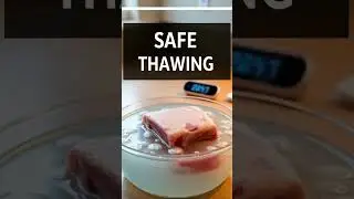 Can You Safely Refreeze Thawed Meat Myth Debunked