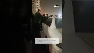 Protests Continue in Tehran and Across Iran