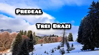 Predeal 3 brazi 