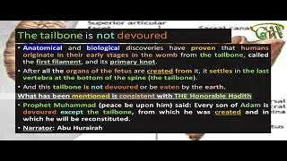 Scientific Miracle (Human): 66- The tailbone is not devoured _ Holy Quran