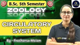 Circulatory System | B.Sc. Zoology 5th Semester | Paper-2nd | Unit-7 | NEP-2020