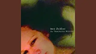 Song About Songs