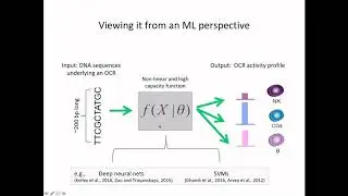 RegSys KEYNOTE: Deep Learning of Immune Differentiation - Sara Mostafavi - RegSys - ISMB 2020