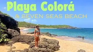 Explore Playa Colorá and Seven Seas Beach by Fajardo, Puerto Rico
