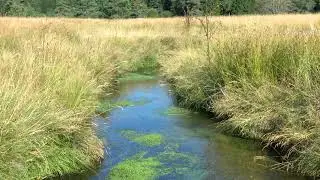 Water, a valuable resource for SILAB
