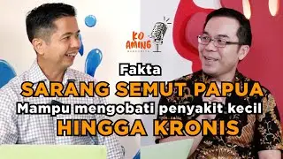 Fakta SARANG SEMUT PAPUA Mampu Mengobati Penyakit Kecil HINGGA KRONIS