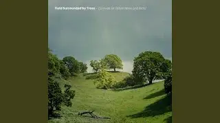 Grounding Field - 432Hz (Loopable)
