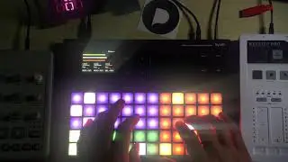 Polyend Synth SOLO Ambient Lofi Jam