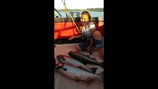 Area 13 Salmon fishing in the Puget Sound 2017.