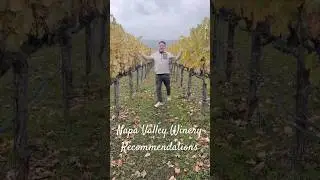 Napa Valley Winery Recommendations #NapaValley #WineCountry #24HoursInNapa #WeekendGetaway #fyp