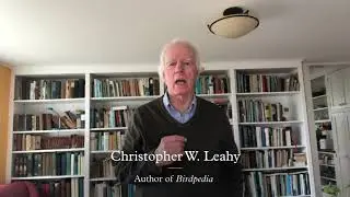 Birdpedia: A Brief Compendium of Avian Lore