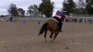 USMGA WEG Demo