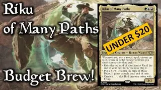 Riku of Many Paths - $20 Budget Brew