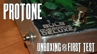 Protone Bulb Overdrive Deluxe Unboxing & Test Dead Horse