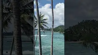 Coconut tree hills Mirissa #travel #beach #mirissabeach 🏄🐋🏊&zwj;♀️🏝️