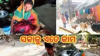 ସକାଳୁ ଏତେ କାମ //milifamilyvlog //odiavlog 