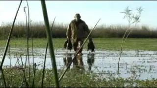 Argentina Duck Hunting with SyC Sporting Outfitters