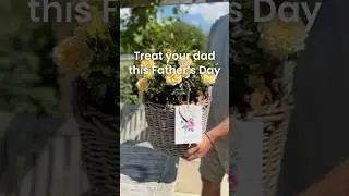 English Roses Father's Day Gift Ideas | Sustainable & Long-Lasting Gifts #fathersday #fathersdaygift