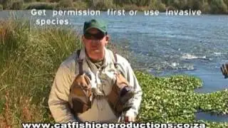 How to catch Smallmouth Yellowfish on Fly - Part 2  in the Vaal river by Catfishjoe Productions
