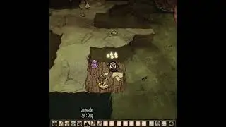 [Don't Starve Together] 왜안됨? 너무하네!! / Drop Knobbly Tree Nut on Dock Kit