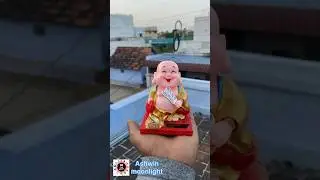Laughing Buddha doll in low prices Solar doll in Tirunelveli laughing Buddha toys Ashwin moonlight ￼