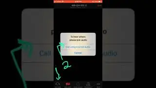 Zoom audio rectification