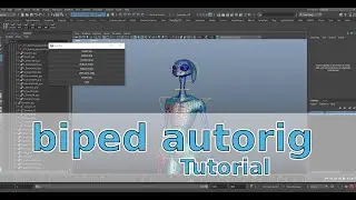 Maya tutorial - biped autorig