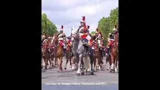 Horse galloping away and another one falling in France's Bastille Day parade