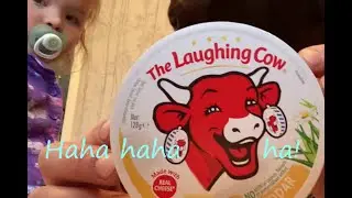The Cheese Board: laughing cow cheddar