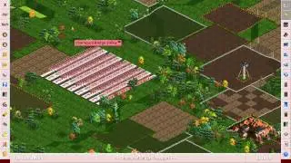 OpenTTD change button size