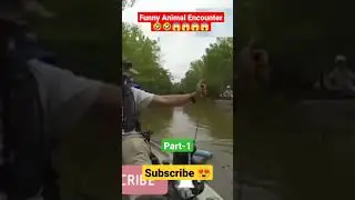 Funny Animal Encounter 🤣🤣🤯🤯 #shorts #shortyoutube #youtubeshorts #ytshorts #trending #viral