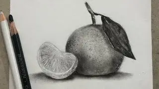 Easy still life drawing | Charcoal pencil drawing | How to draw still life| Drawing Tutorial