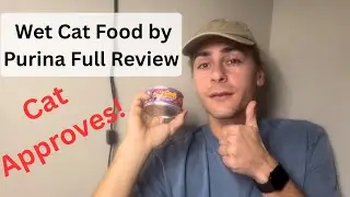 Beef IN Gravy Meaty Bits Wet Cat Food - Watch Before Buying
