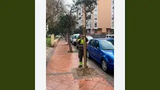 Fueguito bagito