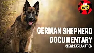 German Shepherds Full Documentary : The Untold Story They Don't Want You to Know!