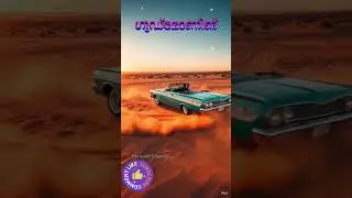 Al ഒന്ന് നോക്കിയതാ കൊള്ളാമോ #lifeisbutadream #festival #shortsvideo