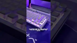 Shine bright like a Diamond 💎 | #glorious #switchplate #polycarbonate #gamingsetup #keyboard