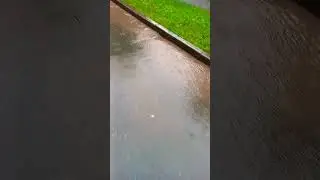 реки на дорогах