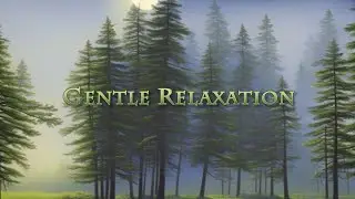15 Minute Gentle Relaxation | Meditation | No Stress | Spa