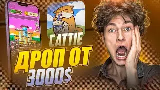 ⚠️CATTIE ПРОЩЕ ЧЕМ CATIZEN - ЗАПЛАТИТ В 100 РАЗ БОЛЬШЕ! 🟢 КАК ПРОЙТИ ИГРУ!