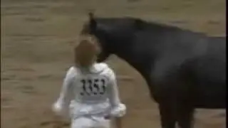 Stacy Westfall- Bridleless Reining with Whizard's Baby Doll
