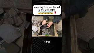 &iquest;Qu&eacute; valiosos tesoros pueden encontrarse en una caja fuerte encontrada en la naturaleza?#Caja ciega
