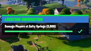 Damage Players at Salty Springs (2,500) - Fortnite Location Domination Challenges