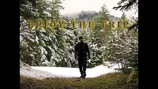 SounDiver - Enjoy The Trip (Official Lyric Video)