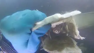 Majestik 80' Hatteras Motor Yacht 11 30 25 Hull Inspection 3of2