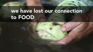 Reconnect with Food at Serenbe